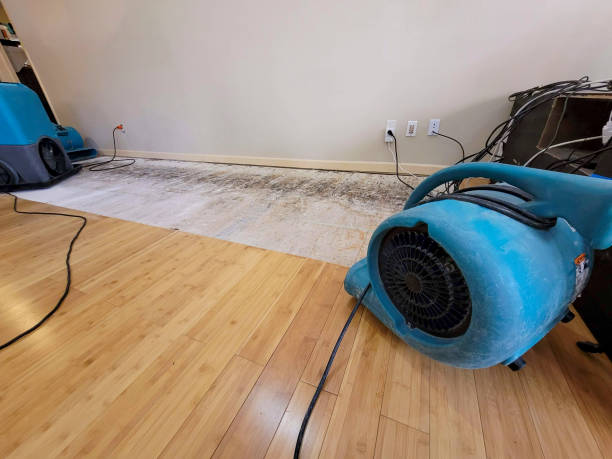 Professional Structural Drying technician working in Elsie, MI
